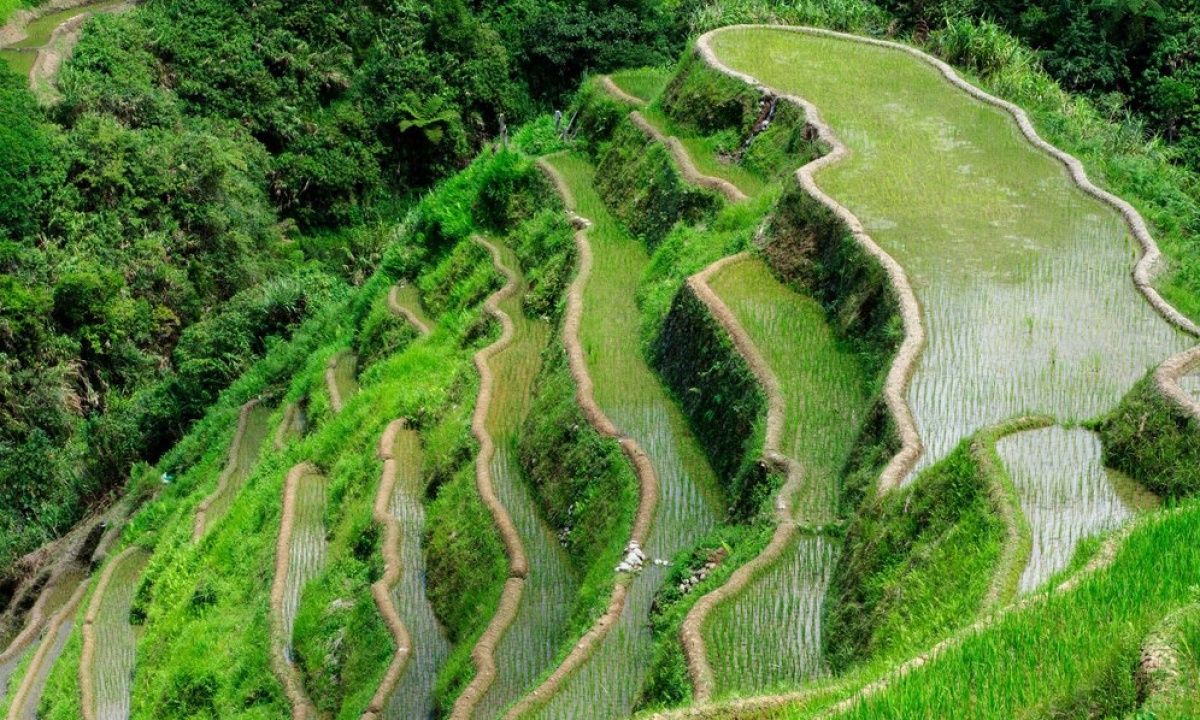 2 Days Mai Chau Escape