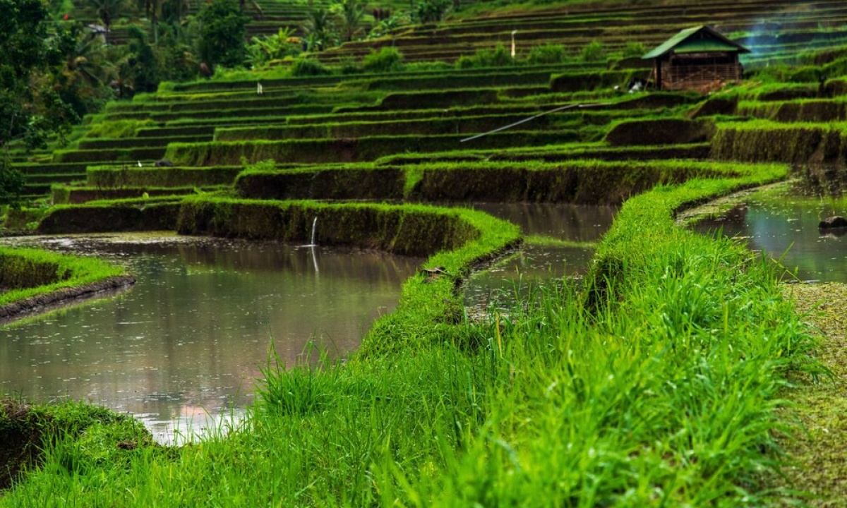 4 Days Biking in the North