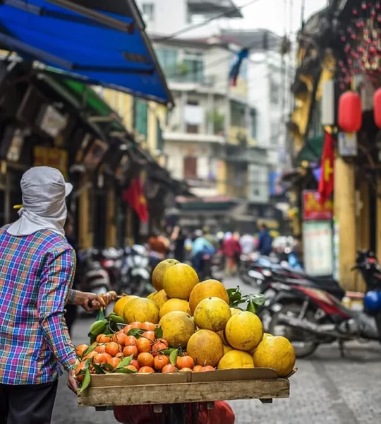 HANOI STREET VENDOR