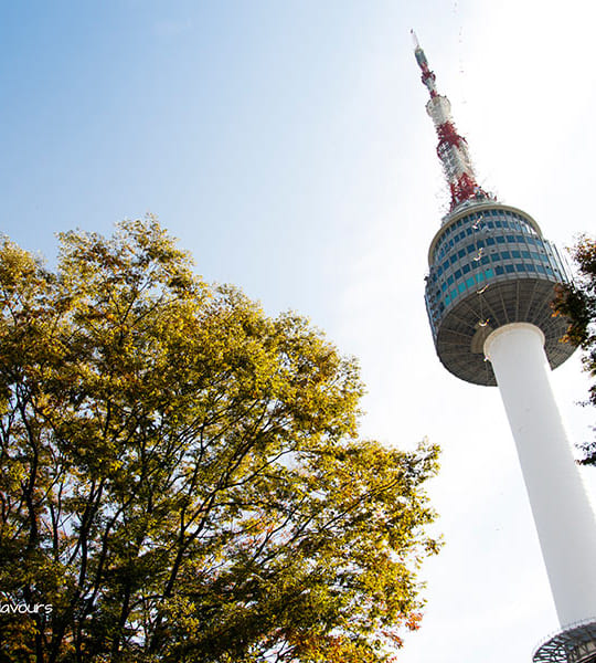 Công viên Namsan (1)